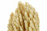 Alluring, Calcite/Aragonite Stalactite Formation - China #377337-3